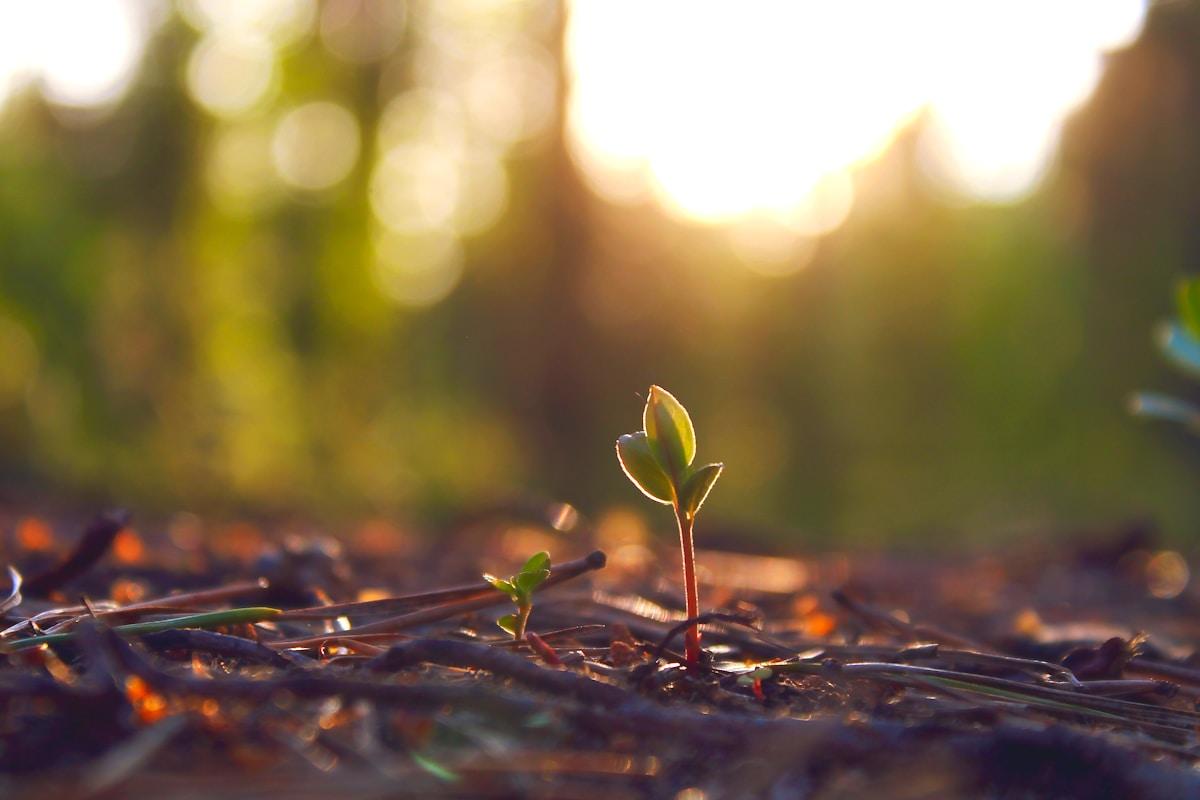 The 401(k) Employer Match: How to Claim Thousands in Free Money in 2026